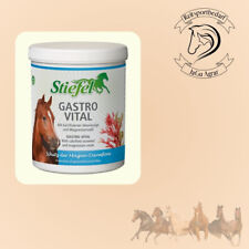 Stiefel Gastro Vital 1kg