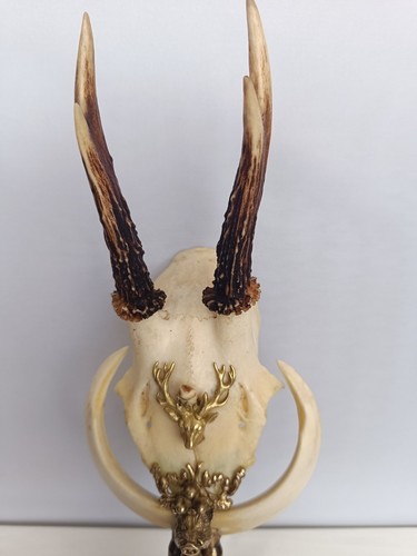 Jäger pokal wildschwein - ,