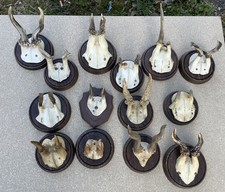 14 Stück alte kleine abnorme