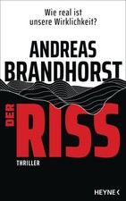 Der Riss: Thriller Brandhorst