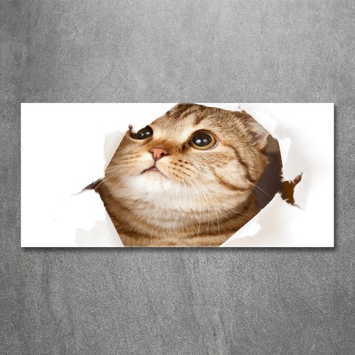 Wandbild aus plexiglas druck - wandbild, plexiglas®