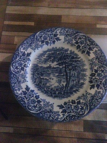 Broadhurst ironstone teller - broadhurst,