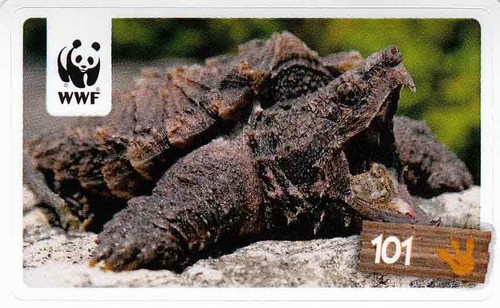 Rewe wwf tier abenteuer - wwf,