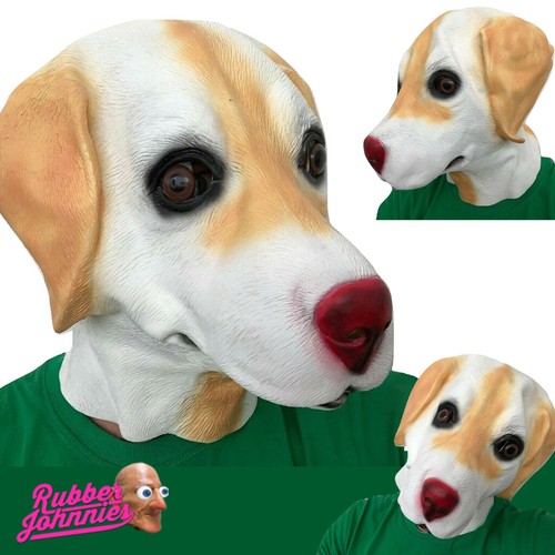 Goldene labrador hundeske - goldene,