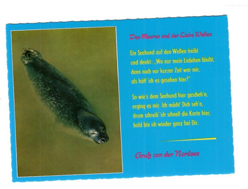 Greetings from the baltic - the,