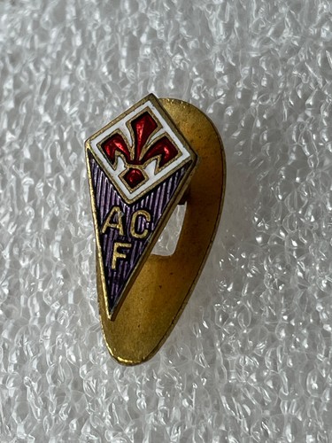 Florenz fiorentina - florenz,