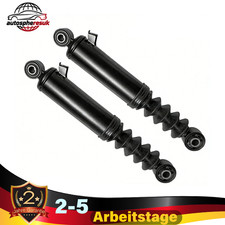 1paar federbein hinten - hinten, links