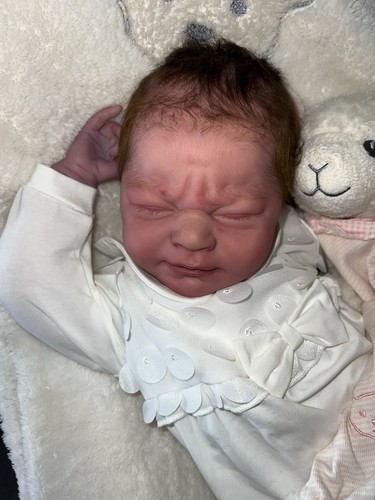 ❤️Reborn-Baby❤️täusch