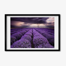 Tulup Bild MDF gerahmte Wand