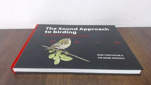 The sound approach - approach, birding