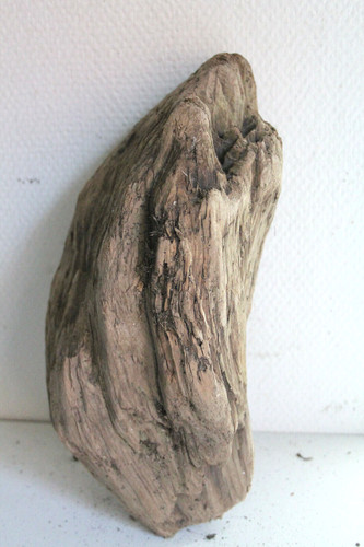 Schwemmholz treibholz - schwemmholz,