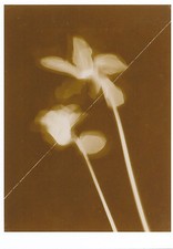 Bauhaus, Lazlo Moholy-Nagy