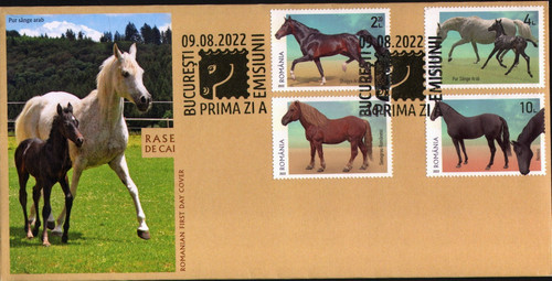 2022 horses shagya - 2022, horses,shagya