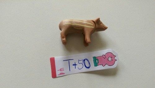 Playmobil tier schwein - tier,