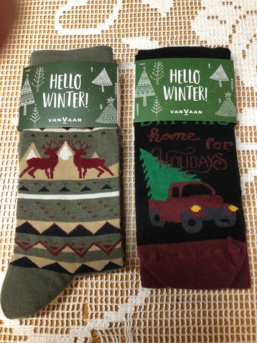 Van vaan hello winter - winter, paar