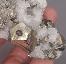 Stufe Pyrit mit Bergkristall