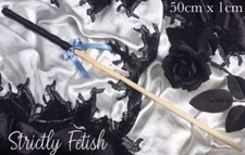 Lehrer Stock Erwachsene