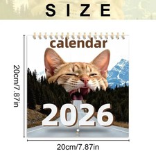 Katzenkalender 2026