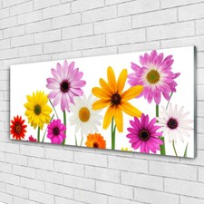 Acrylglasbilder Wandbilder aus