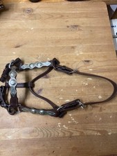 Reitsport Westernreiten