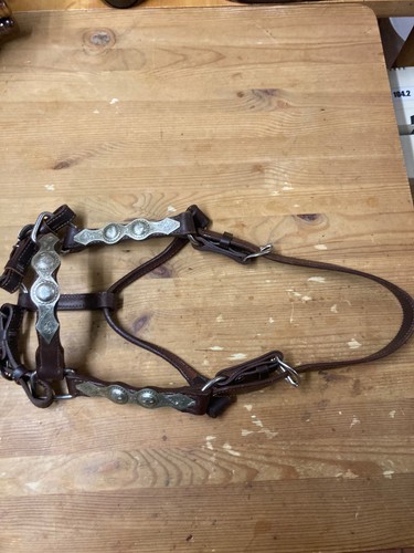 Reitsport westernreiten - reitsport,