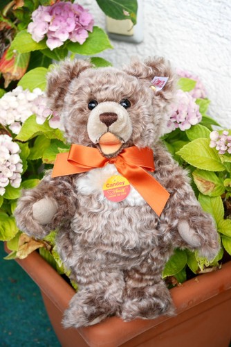 Steiff teddy candey - teddy,