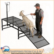 Livestock Stand Goat Trimming