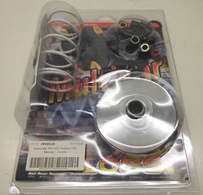 Malossi Multivar 2 T 2940124 Variomatik - für mehr als 50 Modelle (siehe Fotos)