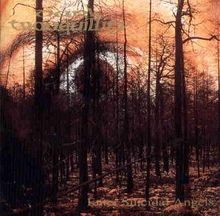 Enter suicidal angels von dark - angels,