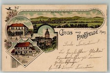 13664496 - 4271 Pansfelde