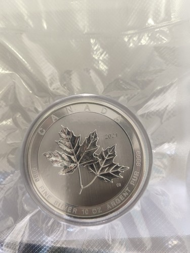 Kanada maple leaf - 10,