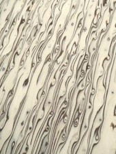 Maserbirke Holz Birke Maser