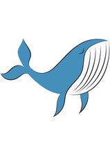 6x car sticker whale sticker
