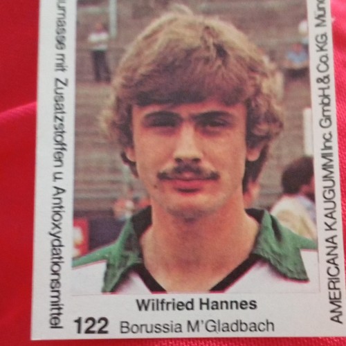 Americana wilfried hannes - americana,