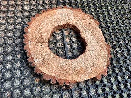 Baumscheibe hohl erle - hohl, Ø