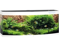 Aquarium JUWEL Vision 450 inkl. LED-Beleuchtung, Heizer, Filter ohne Unterschran