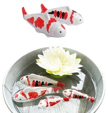 Koi Karpfen mit Streifen 10 cm