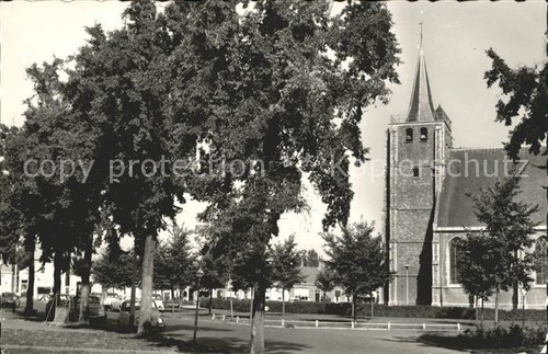 Renesse korte reke ned - korte, herv