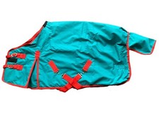 Mini Shetland Pony Fohlen