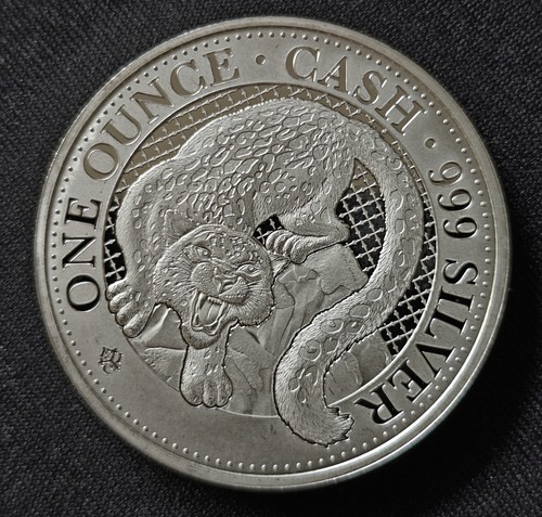 Snow leopard cash - snow, 2024