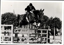 Foto Springreiten, Sprung