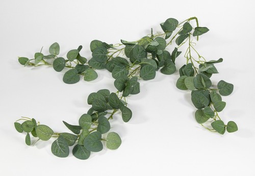 Eukalyptusranke 80cm grün - , zf