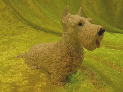 Westhighland white terrier - westhighland,