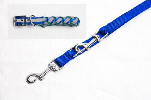 Teiliges set hundehalsband - teiliges,