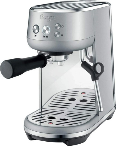 Sage the bambino - sage, 1560w