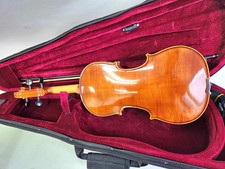 Premium 4/4 VIOLINE GEIGE im