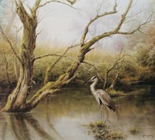 Graureiher Kunstdruck  42 x 39