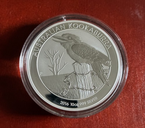 Australien kookaburra 2016 - kookaburra, 10