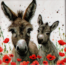 Dekobild Esel Mohnblumen