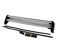 Original Basis